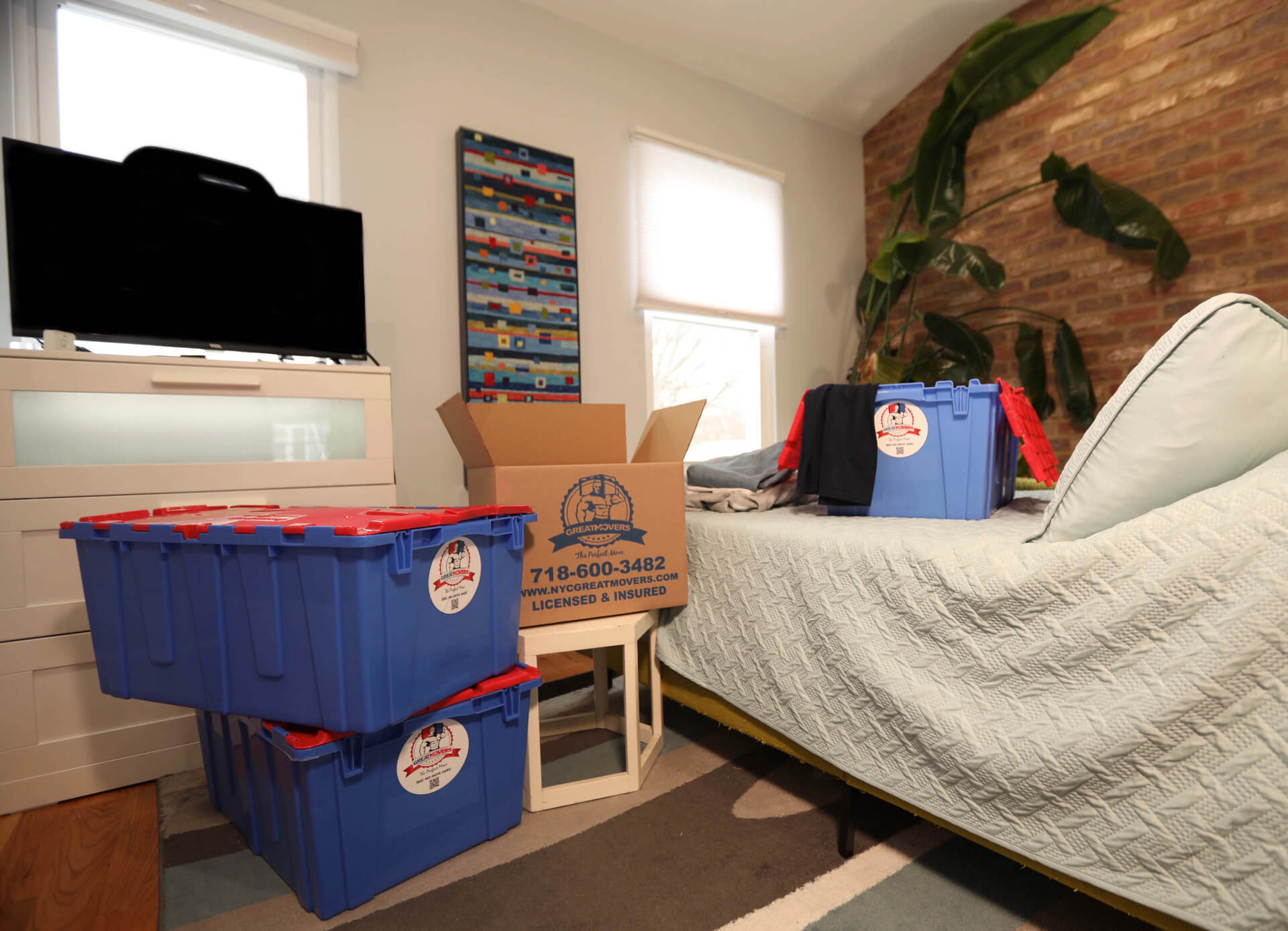 imgpsh_fullsize_anim Cardboard Boxes or Plastic Bins - Which Should You Use for Your Move?