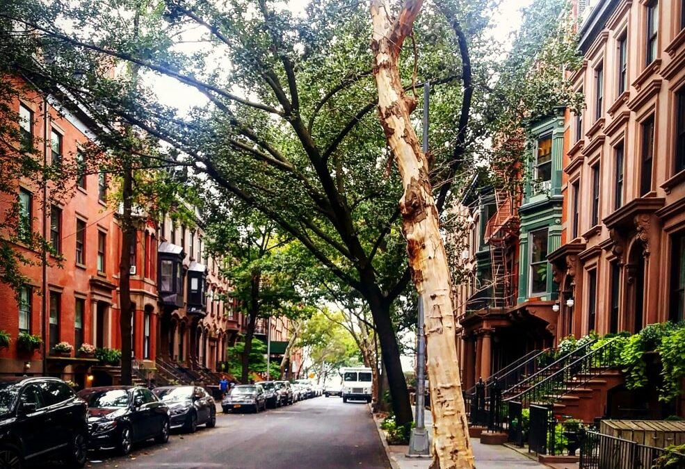 How to Moving in Brooklyn Heights – A Neighborhood Guide