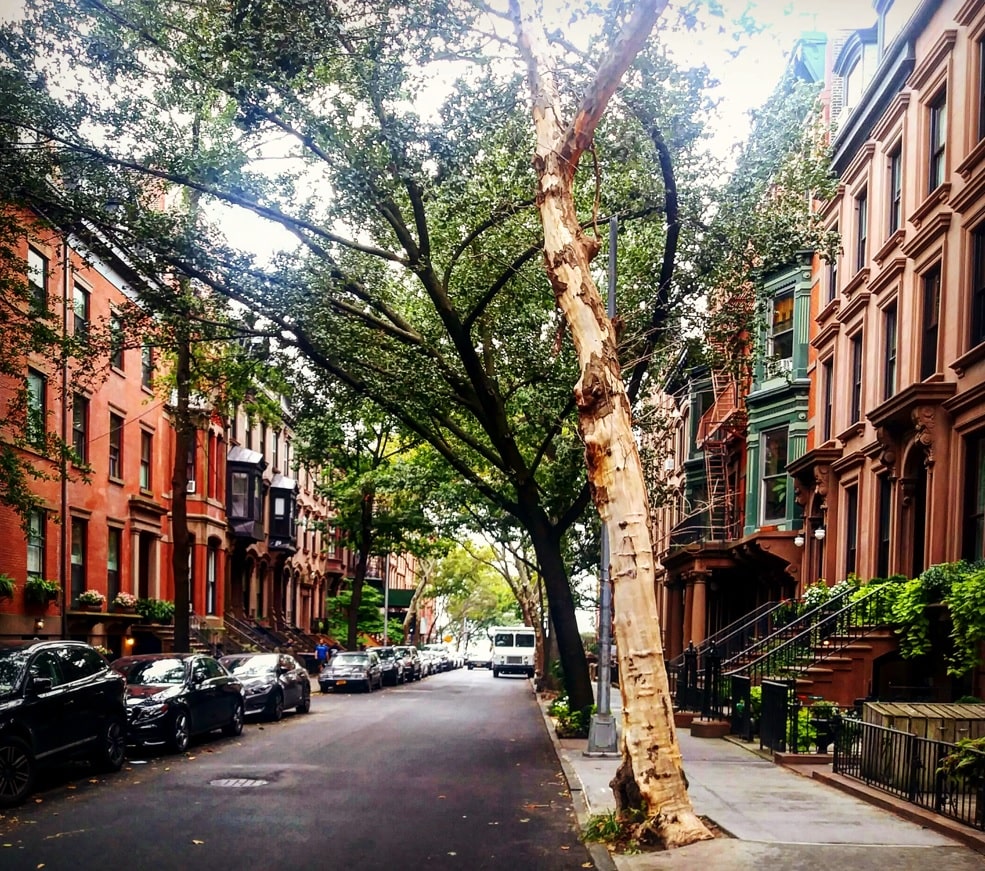 Moving to Brooklyn Heights – A Neighborhood Guide